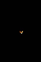 STS-126_13